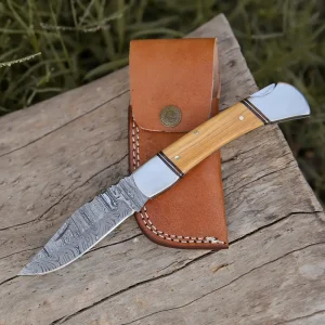 Back Lock 9" Handmade Damascus Steel Pocket Knife Olive Wood Handle Folding Knife