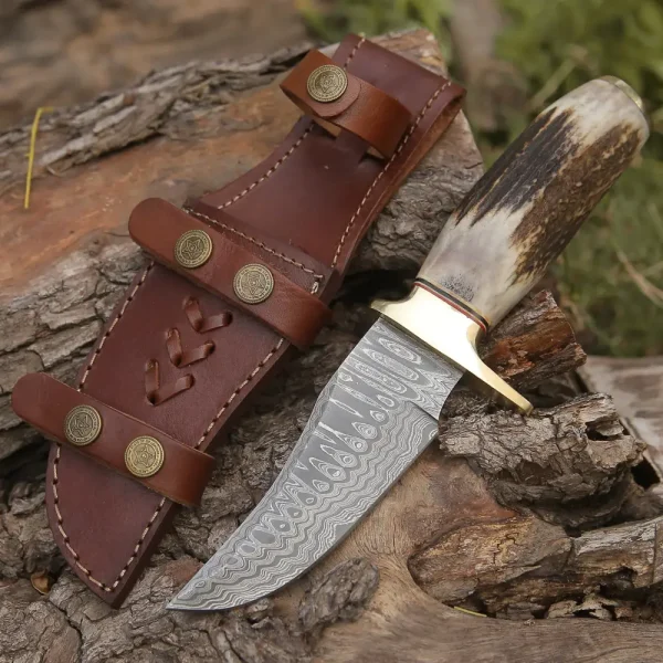 Custom HANDMADE FORGED DAMASCUS Steel Hunting Knife W/ Stag & Brass Guard Handle